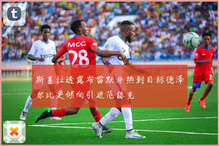 斯基拉透露布雷默非热刺目标德泽尔比更倾向引进范赫克